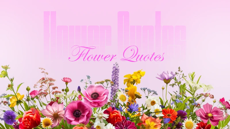 flower quotes