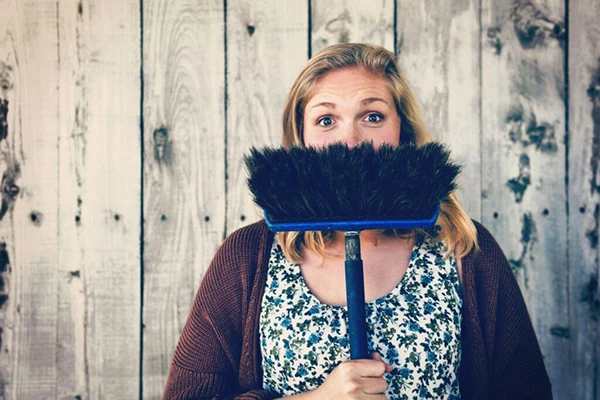 home-cleaner