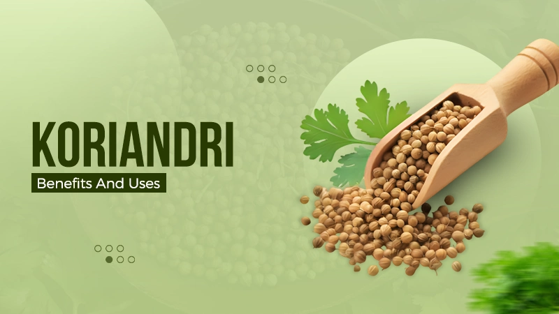 koriandri