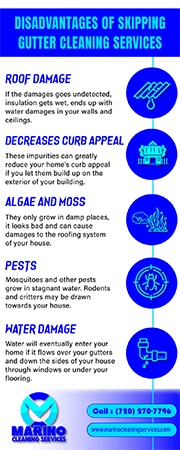 Avoiding Gutter Cleaning