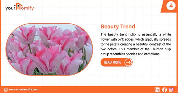 Beauty trend Tulip