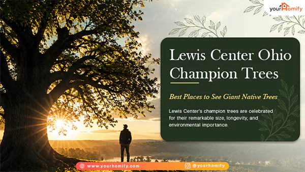 Champion tree