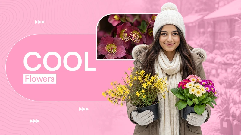 Cool Flowers