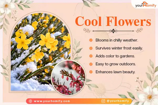 Cool Flowers
