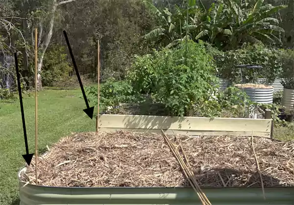 Creating posts out of bamboo stakes