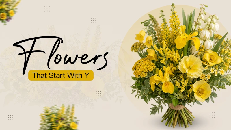Flowers That Start With Y
