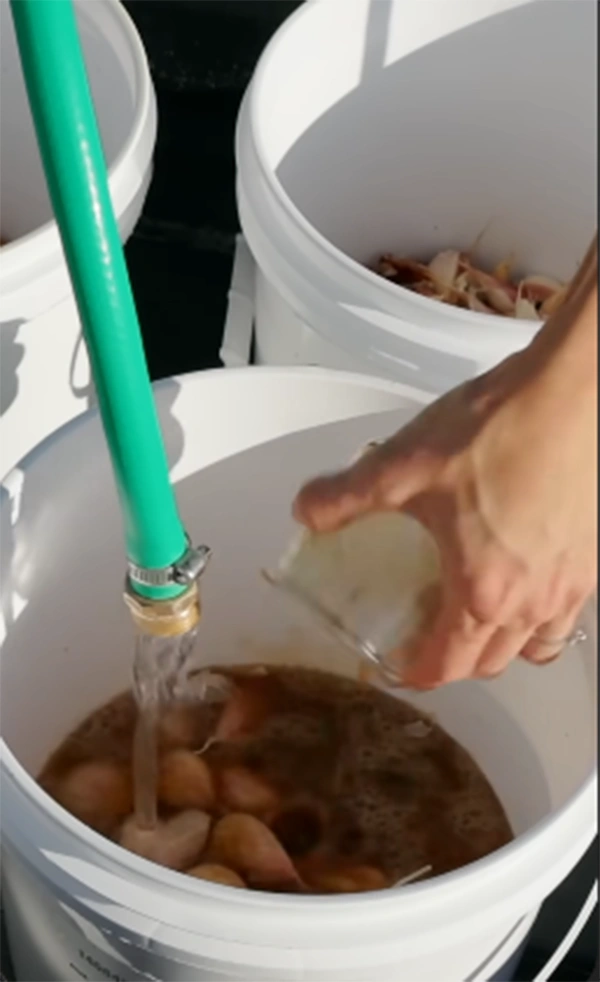 Garlic in a soda solution
