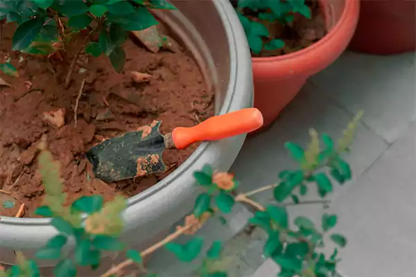 Hand Trowel