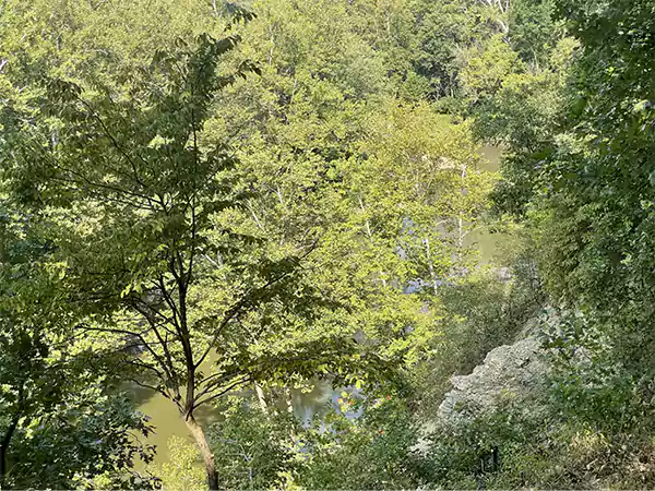 HighbanksMetro Park