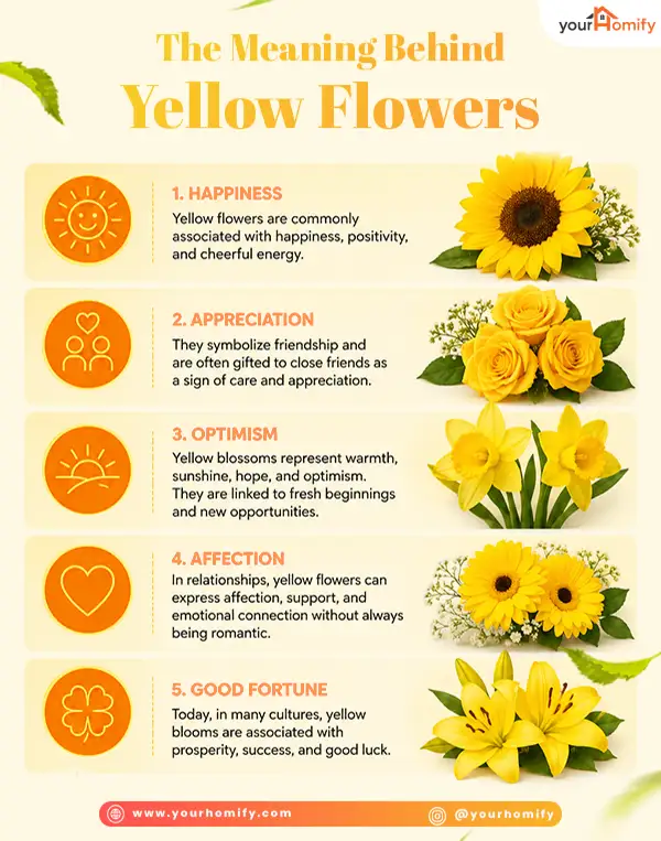 Meaning Behind Flowers