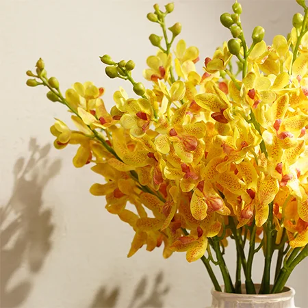 Orchid