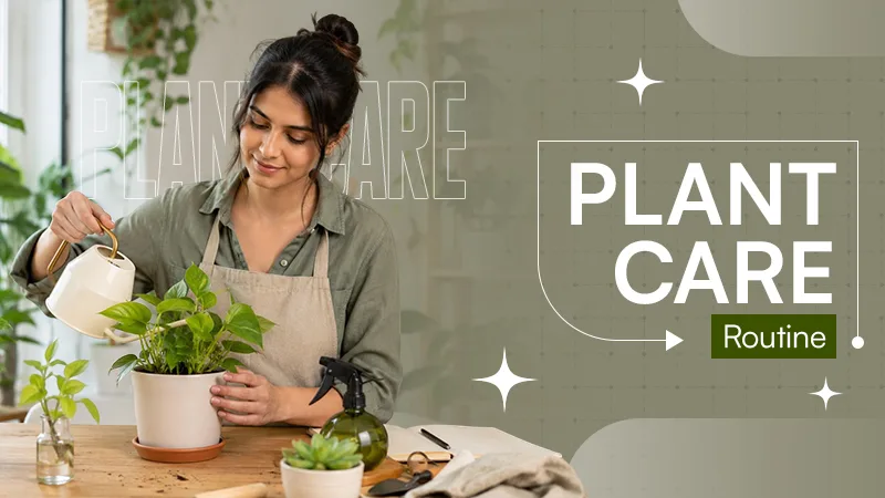 Plant-Care-Routine