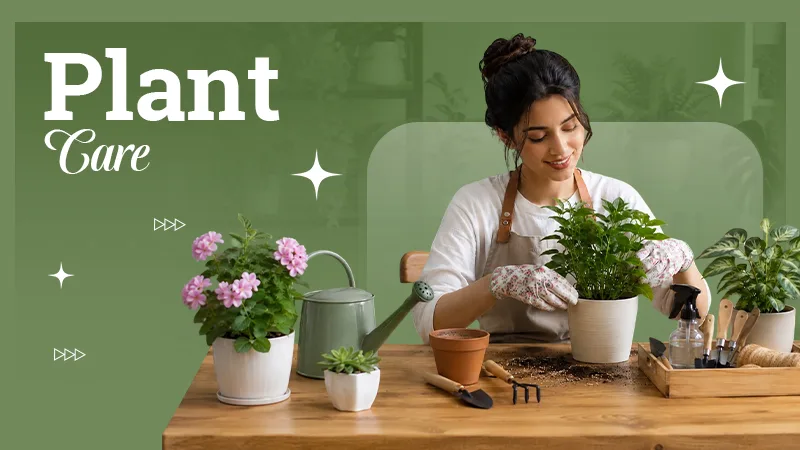 Plant-Care