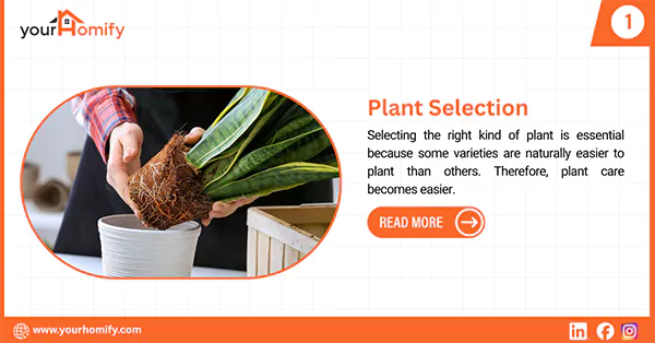 Plant selection