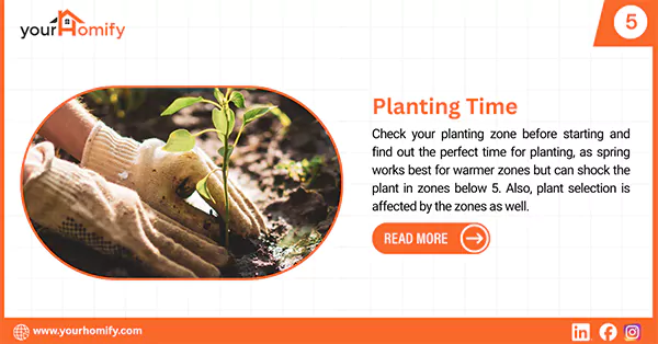Planting Time