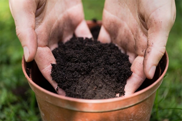 Preparing Soil Mixture