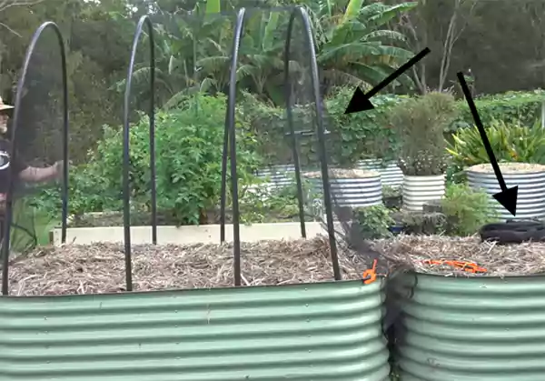 Spreading a bird net over the DIY poly pipe made hoop