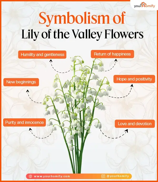 Symbolism of Lily of valley flowers