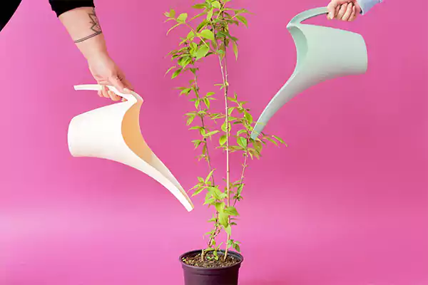 Watering can
