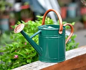 Watering Cann