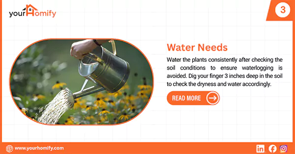Watering plants