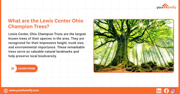 What are Lewis center ohio champion trees
