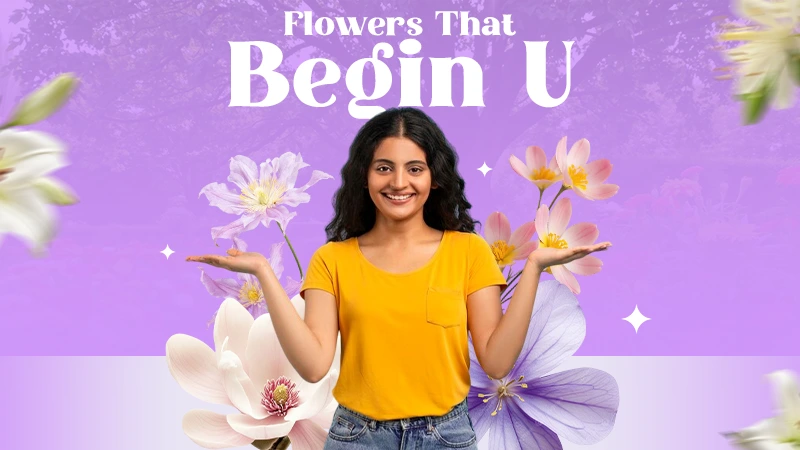 flower that begins u