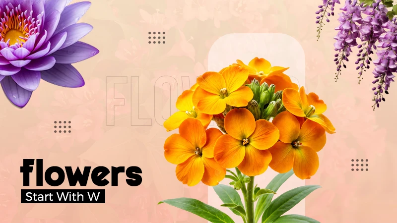 flowers start with W