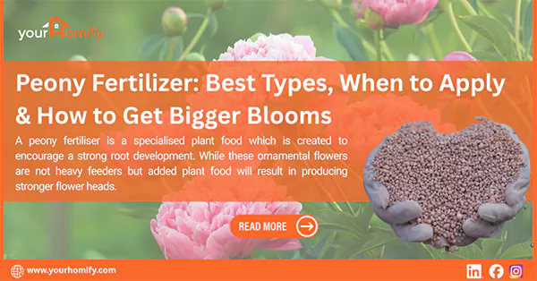peony fertilizer
