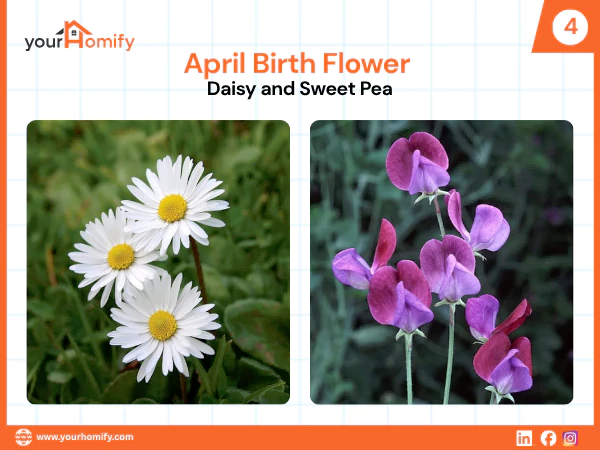 April Flowers
