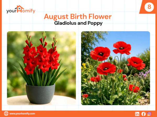 August birth flower