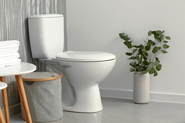 Bathroom fittings