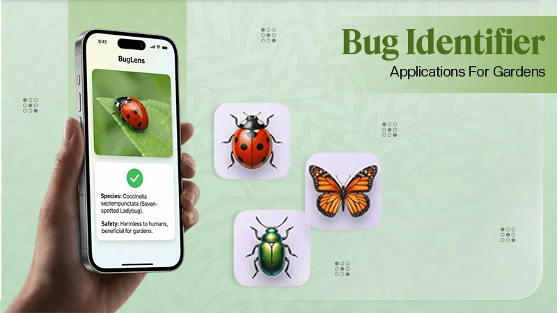 Bug Identification Apps