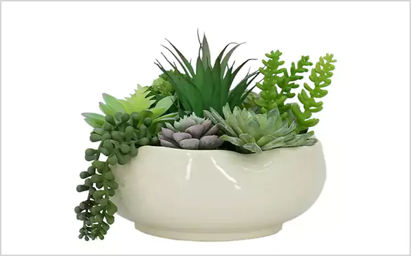 Ceramic Pot Arrangement