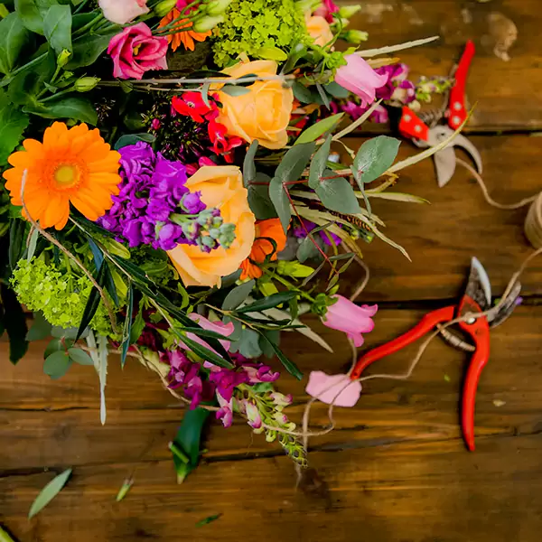 Collecting tropical flowers