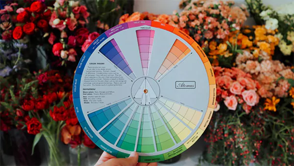 Color Wheel