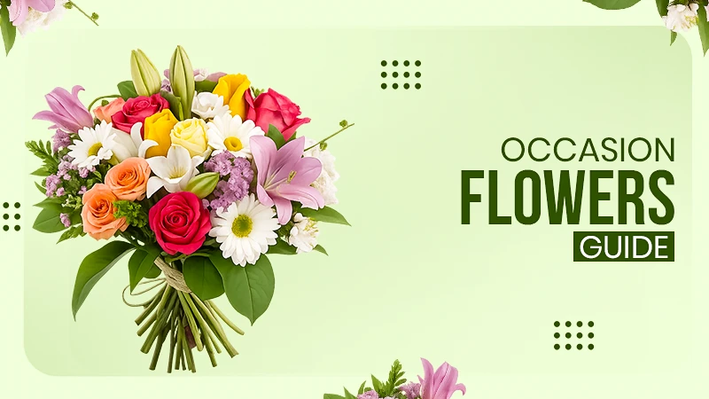 Complete Guide to Flowers for All Occasions Birthdays, Weddings, and More