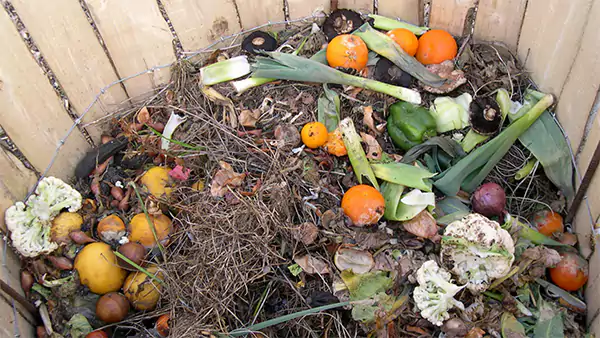 Compost