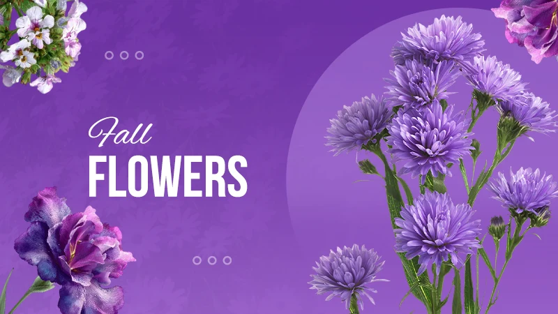 Fall Flower