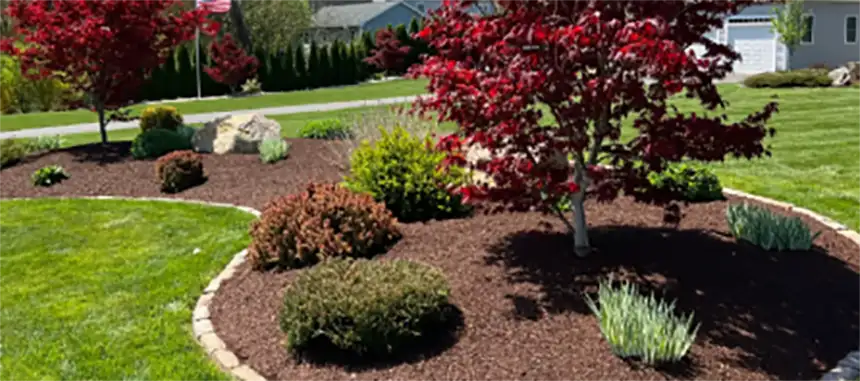 A tidy backyard with mulched beds, a small lawn area, and stone edging separating planting beds from grass.