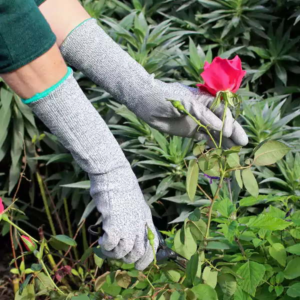 Gardening Gloves