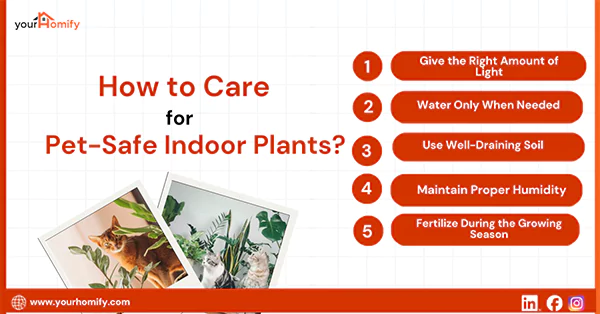 How to Care for Pet Safe Indoor Plants