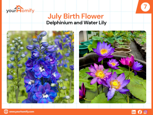 July birth flower