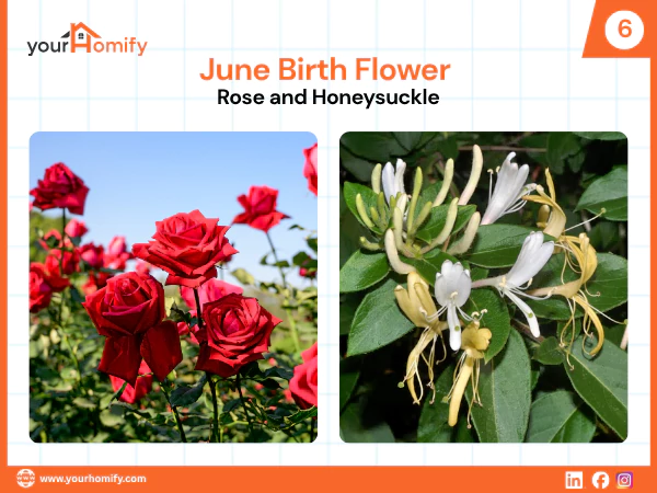 June birth flowers