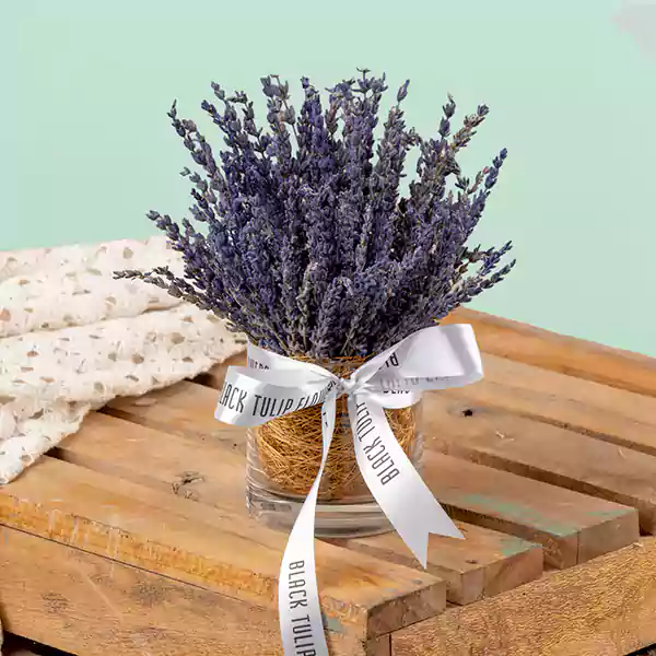 Lavender