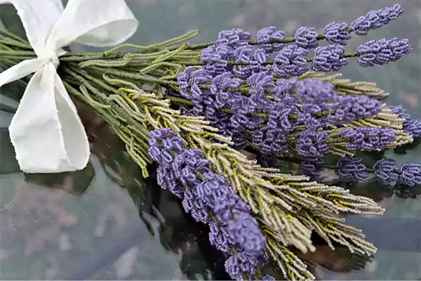 Lavender