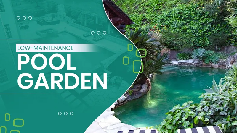 Low-Maintenance Pool Garden