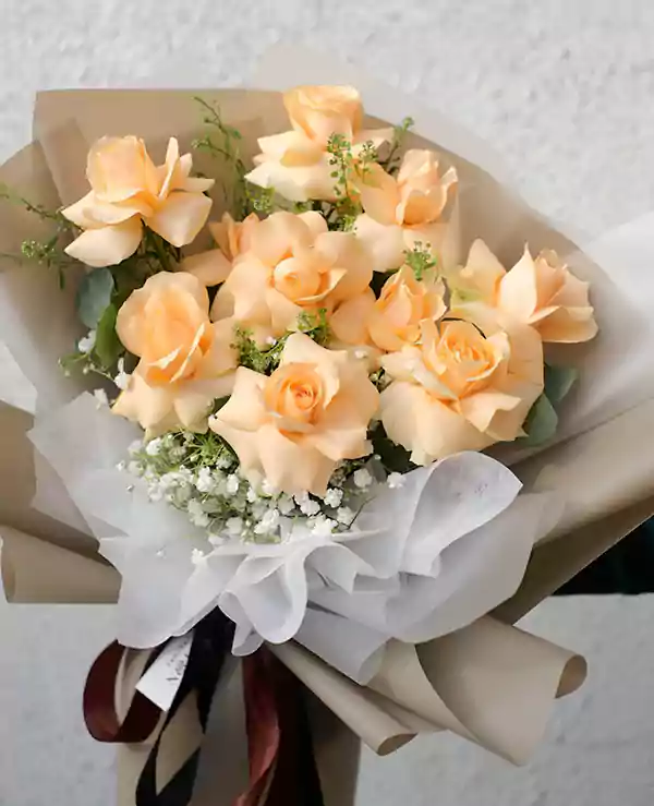 Peach Rose