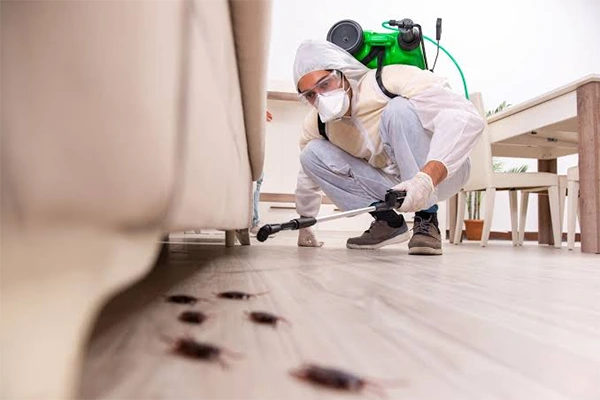 Pest inspection