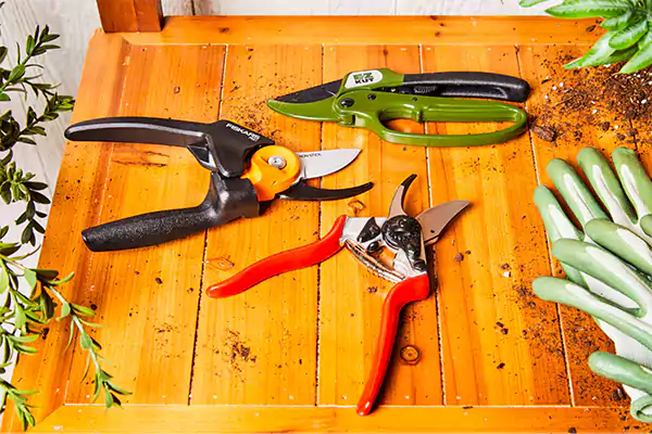 Pruning Spears